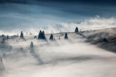 Panoramic view of landscape against sky