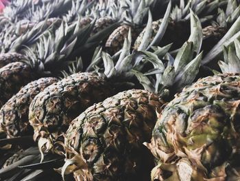 Full frame shot of pineapples for sale at market