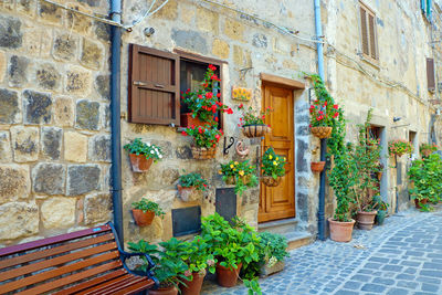 Potted plants against ancient walls inside the old town of bolsena