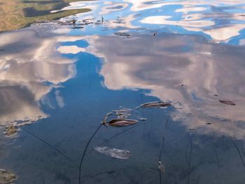 Scenic view of lake