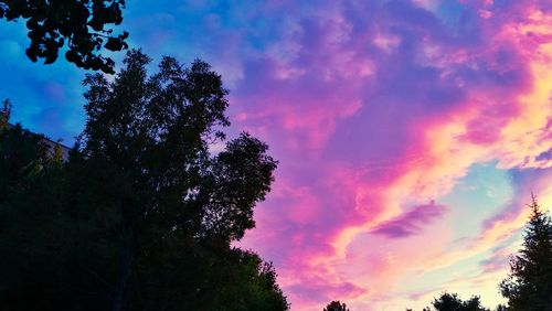 Low angle view of silhouette trees against dramatic sky