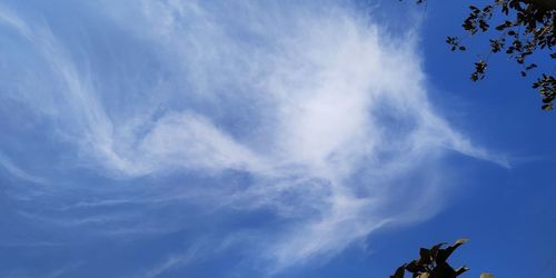 Low angle view of blue sky