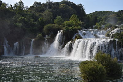 Scenic view of waterfall in forest