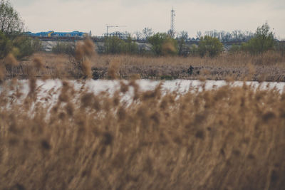 Surface level of land against sky