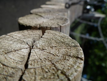 Close-up of logs