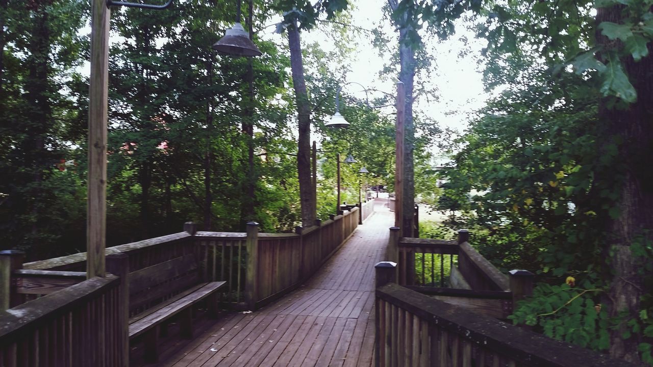 FOOTBRIDGE WITH TREES IN FOREGROUND