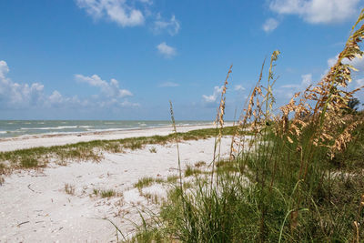 Scenic view of beach against sky