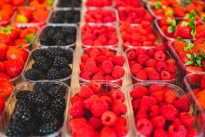 Full frame shot of various fruits for sale at market stall