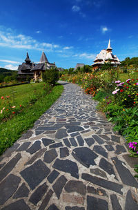 Pathway amidst flowering plants at barsana monastery against blue sky