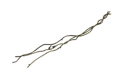 Close-up of barbed wire against white background