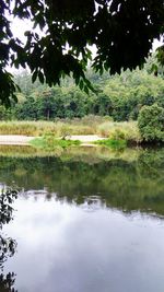 Reflection of trees in lake against sky
