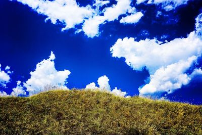 Low angle view of trees against cloudy sky