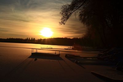 Sun shining through trees