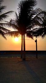 Silhouette palm trees against sky during sunset