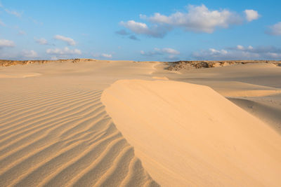 Sand at beach against sky