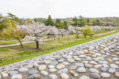 Scenic view of park against sky