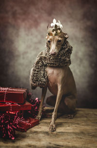 Dog wearing warm clothes while siting by gifts during christmas