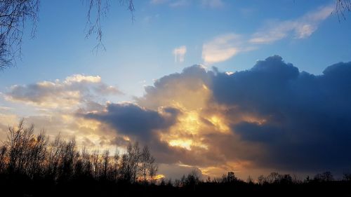 Silhouette trees against sky during sunset