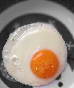 Close-up of egg in plate