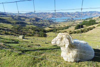 View of sheep on field against sky