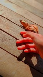 High angle view of person hand on wood