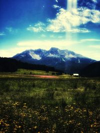 Scenic view of field against sky