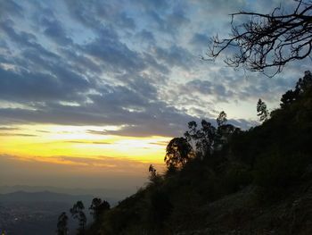 Silhouette trees on landscape against sky at sunset