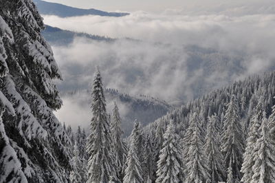 Scenic view of mountains against sky during winter