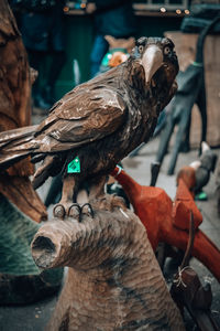 Close-up of bird perching on statue