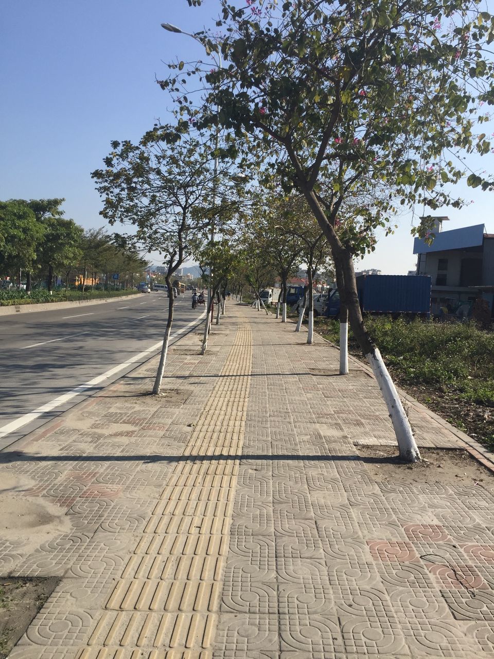 tree, the way forward, sunlight, footpath, building exterior, shadow, clear sky, built structure, sidewalk, walkway, transportation, cobblestone, street, diminishing perspective, architecture, growth, outdoors, incidental people, paving stone, day