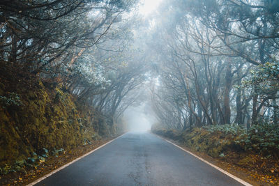 Empty road amidst trees and fog in forest