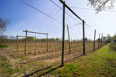 Fence on field against sky