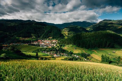 Scenic view of agricultural field against sky