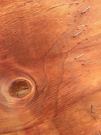 Full frame shot of plank