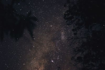 Low angle view of stars in sky at night