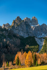 Colors of autumn surrounding majestic mount bischofsmütze in the austrian alps, filzmoos, austria.