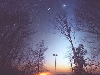 Low angle view of silhouette trees against sky at night