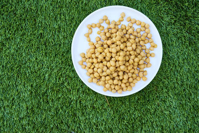 Directly above shot of food in plate on field