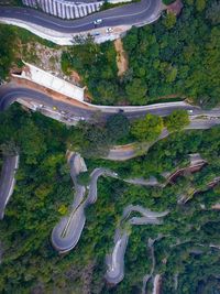 High angle view of road amidst trees in city