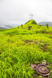 Scenic view of grassy field against sky