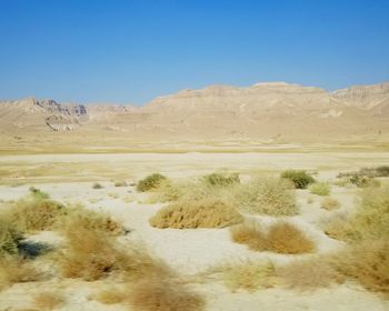 Scenic view of desert against clear blue sky