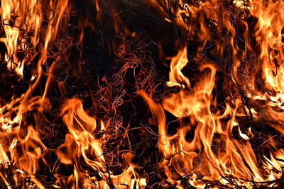 Close-up of fire burning at night