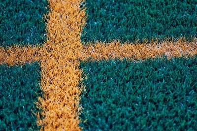 Full frame shot of tree trunk