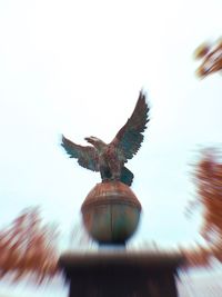 Low angle view of bird flying against sky