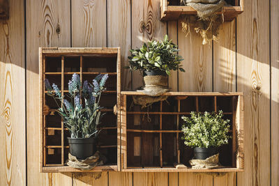 Potted plants hanging on window