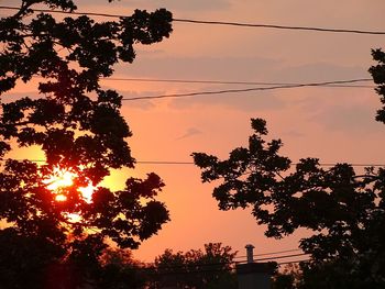 Low angle view of silhouette trees against orange sky