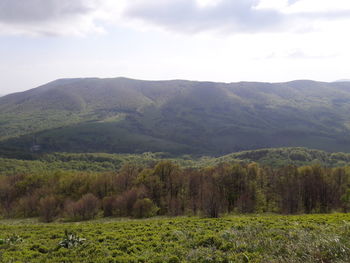 Scenic view of landscape against sky