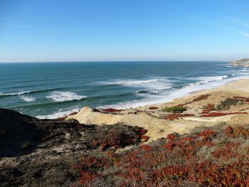 Scenic view of beach against clear blue sky