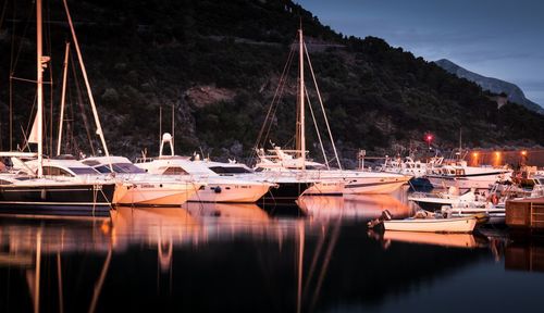 Sailboats moored at harbor