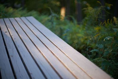 Close-up of wooden plank